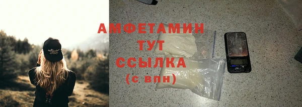 прущие грибы Красноперекопск