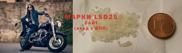 прущие грибы Красноперекопск