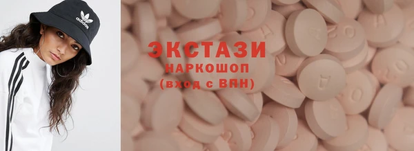индика Кострома
