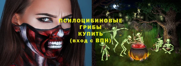 прущие грибы Красноперекопск