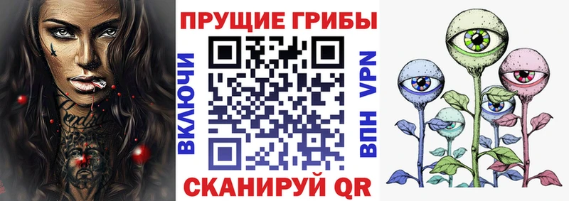 blacksprut ссылки Шумиха Псилоцибиновые грибы MAGIC MUSHROOMS наркота